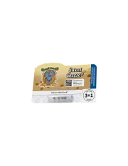 Sweet Cheese – Sweet Seeds – Feminizowane