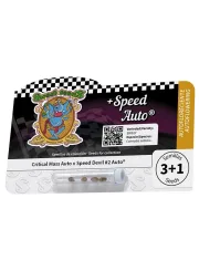 + SPEED – Sweet Seeds – Autoflowering