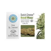 Dutch Cheese – Dutch Passion – Feminizowane