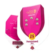 Feminisiert Mix – Royal Queen Seeds – Feminizowane