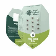 Royal Dwarf Auto – Royal Queen Seeds – Autoflowering