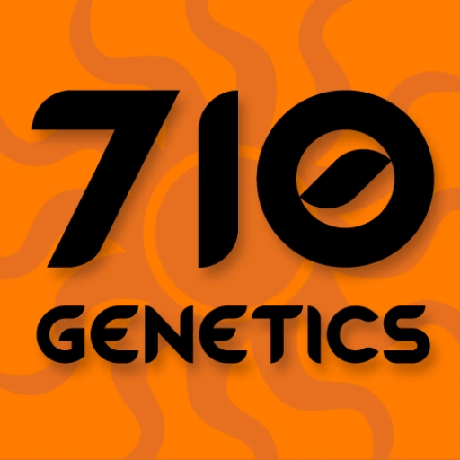 Sour White – z710 Genetics – Feminizowane