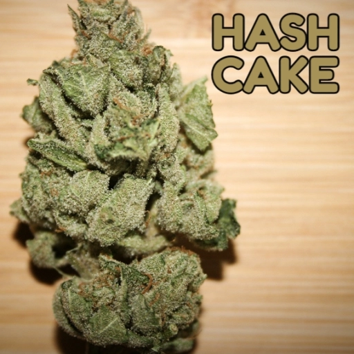 Hash Cake – TasteBudz – Feminizowane