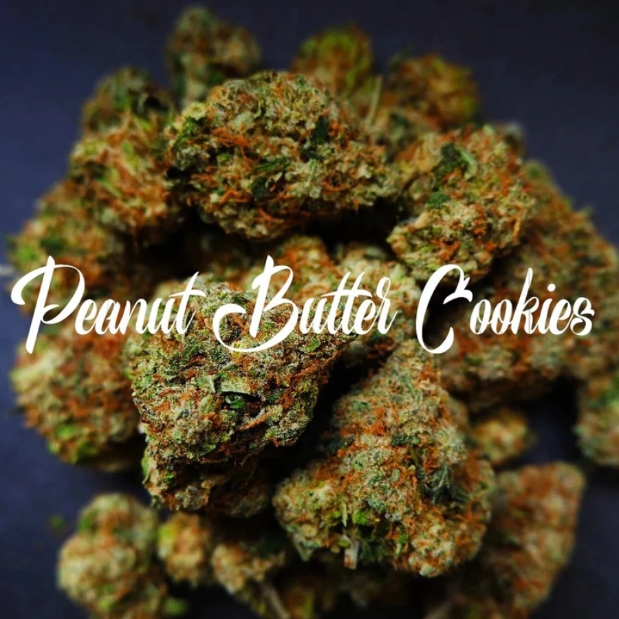 Peanut Butter Cookies – TasteBudz – Feminizowane