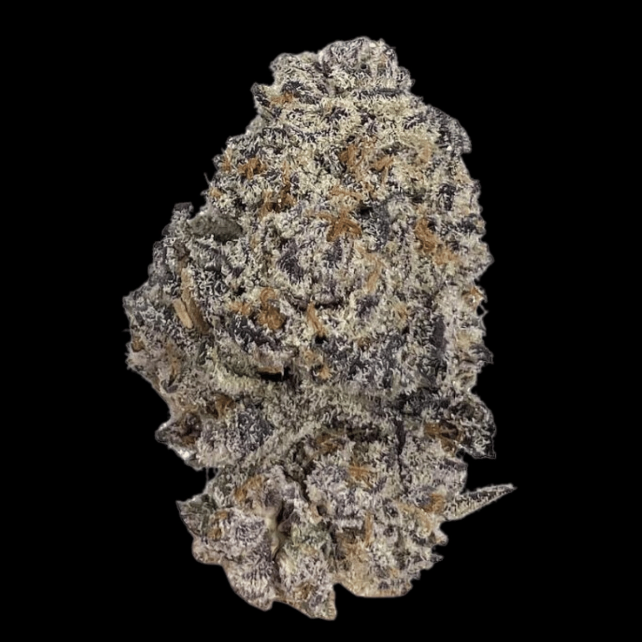 Original Oreoz – Growers Choice – Feminizowane