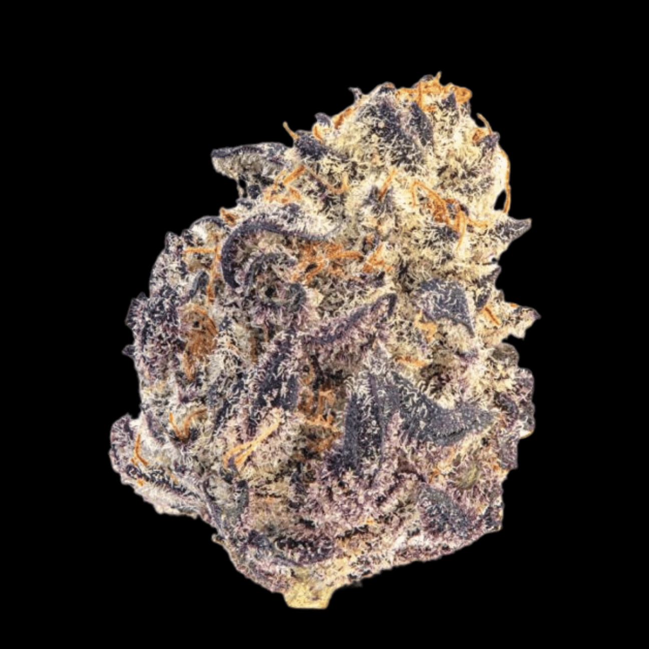 Cherry Mac Muffin – Growers Choice – Feminizowane