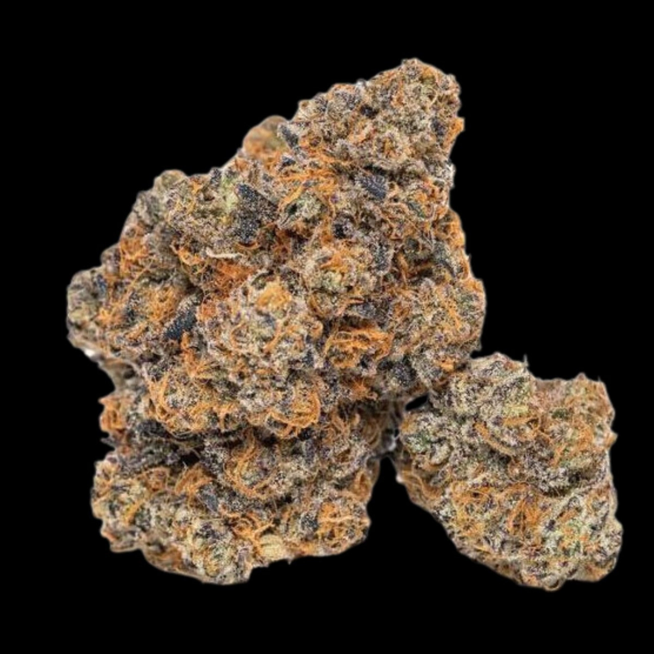 King Louis Garcia – Growers Choice – Feminizowane