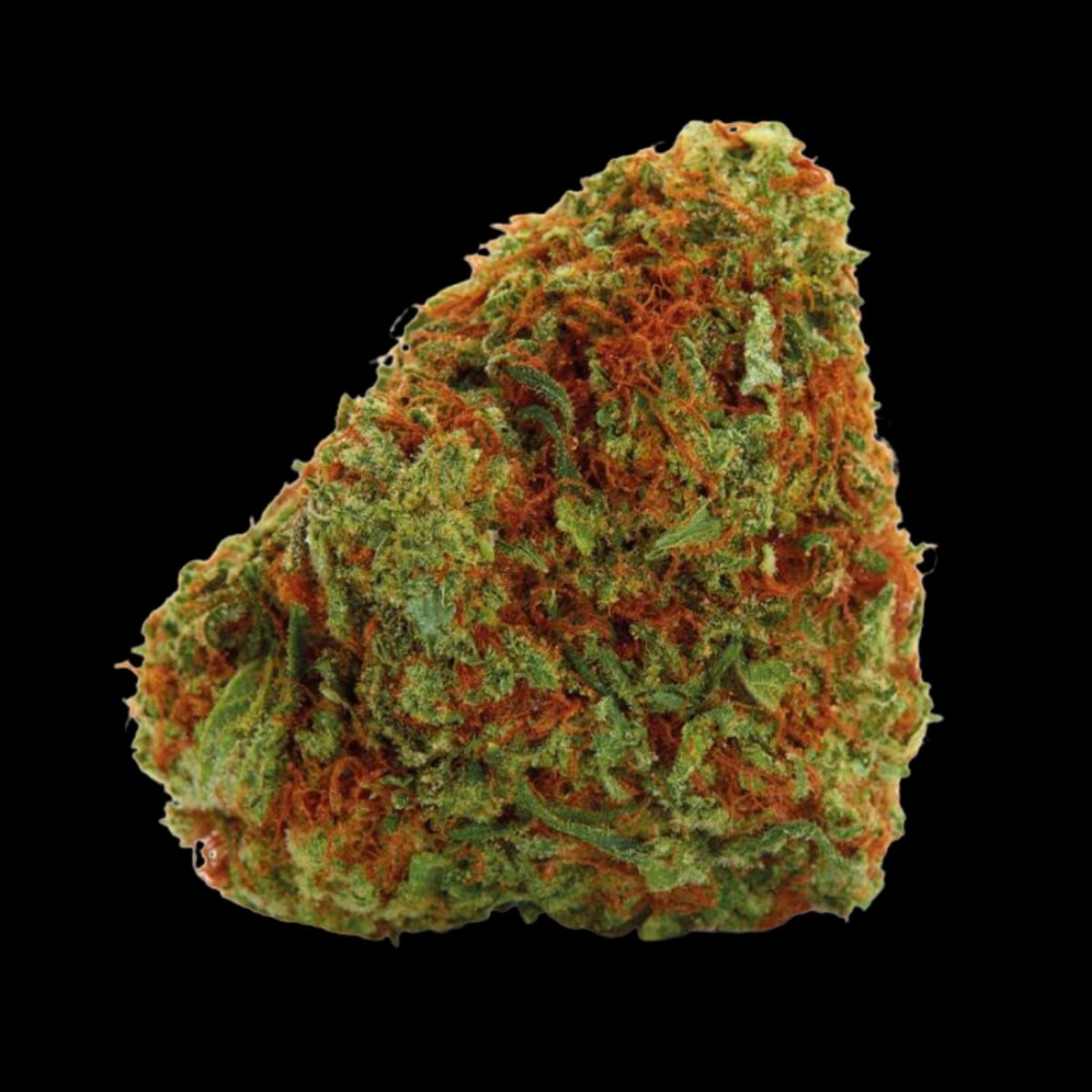 Bubblegum x Fat HOG – Growers Choice – Feminizowane