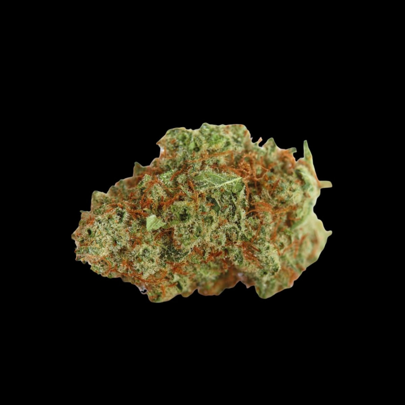 Monsterbud – Growers Choice – Feminizowane