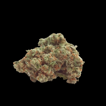 Gorilla Cookies Auto Autoflowering cannabis flower bud by Growers Choice