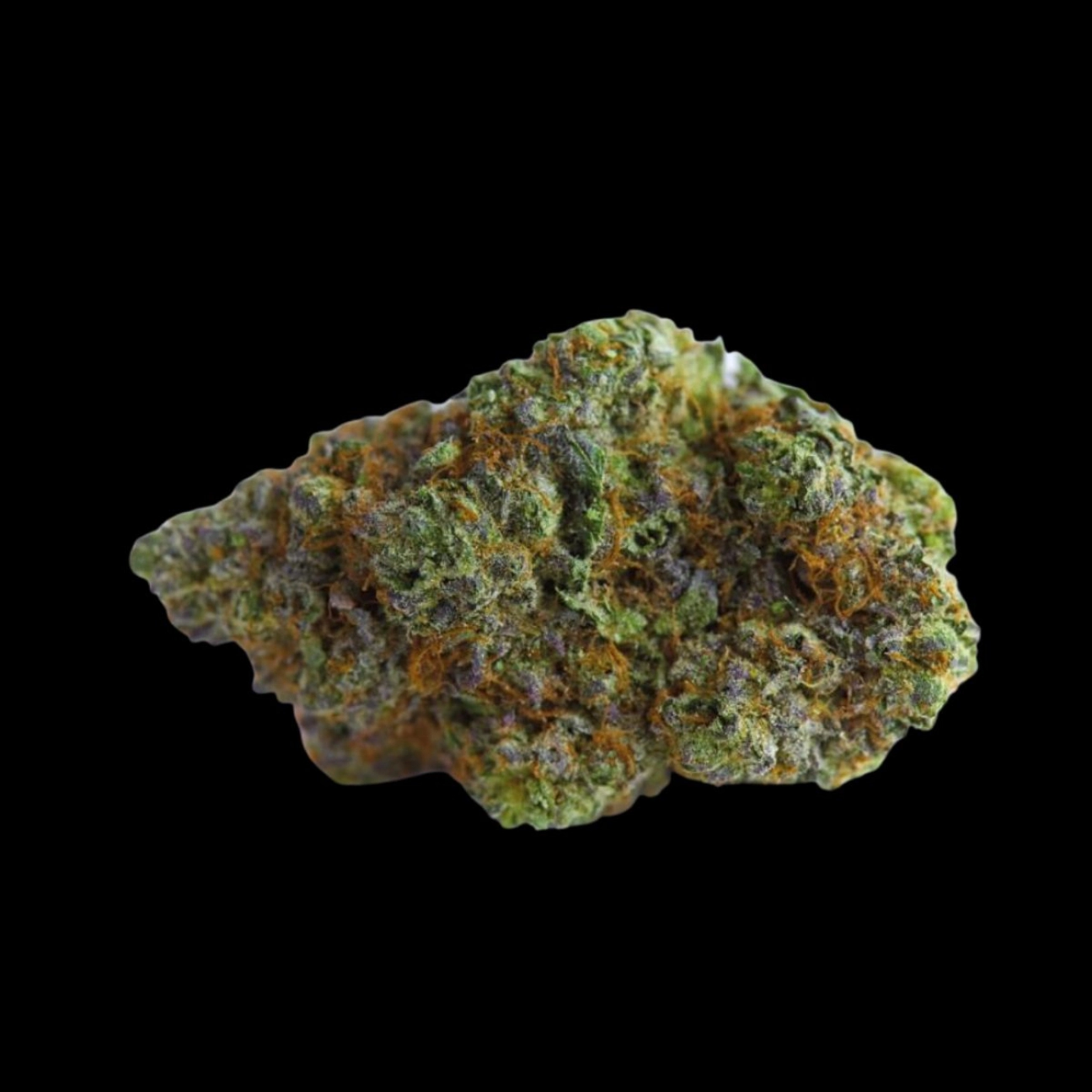 Blue Forest Berry – Growers Choice – Feminizowane