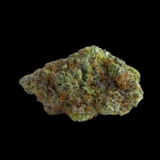 Blue Forest Berry Feminized cannabis flower bud by Growers Choice