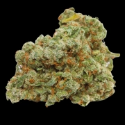 Banana Sherbet Feminized cannabis flower bud by Growers Choice