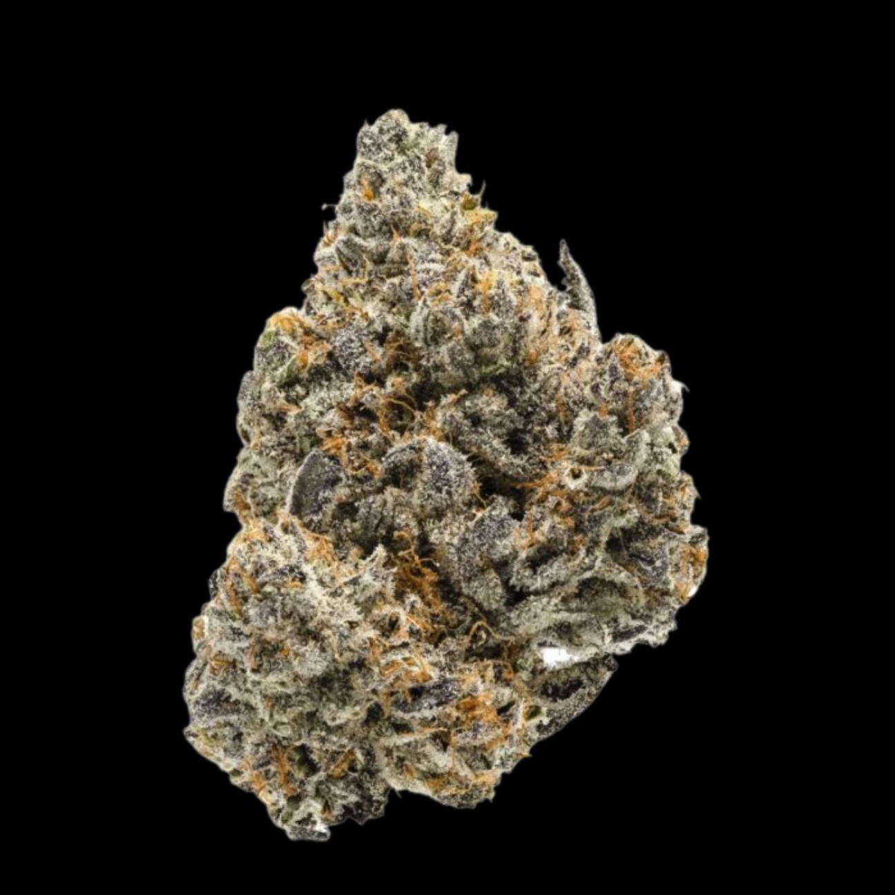 Rainbow Runtz – Growers Choice – Feminizowane