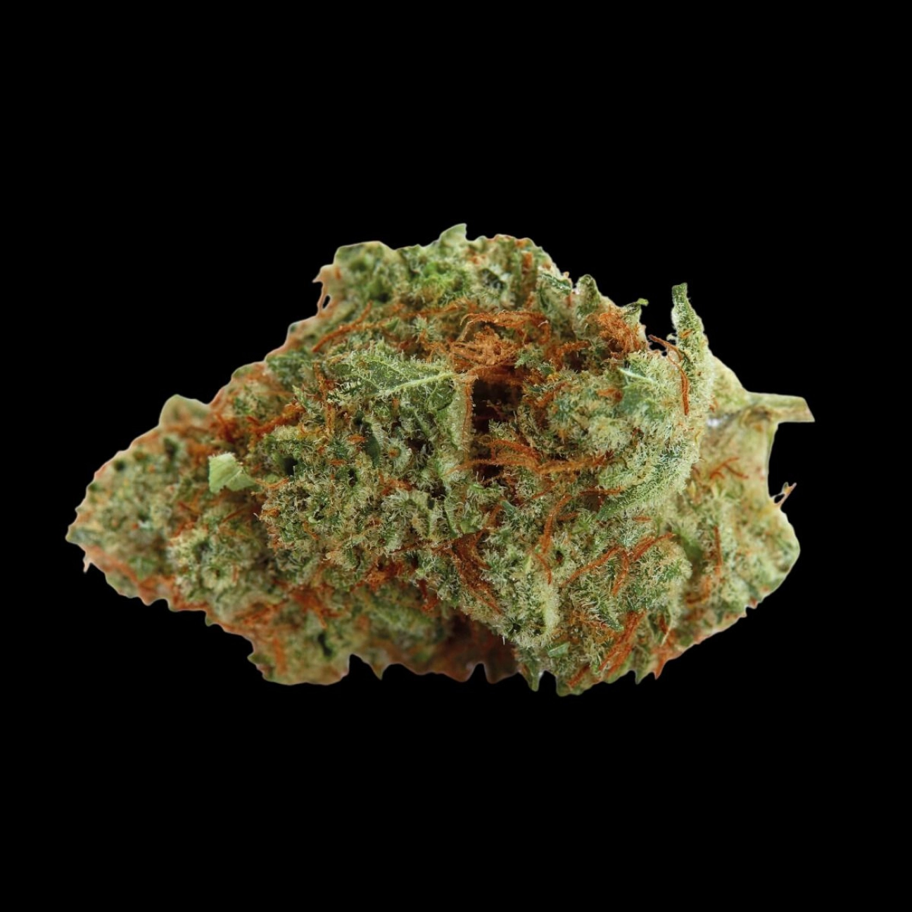 Naranja Biscotti – Growers Choice – Feminizowane