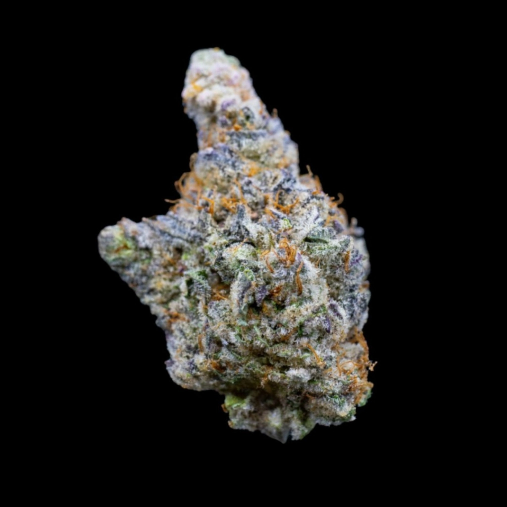 Mimosa Gusher Limited Edition – Growers Choice – Feminizowane