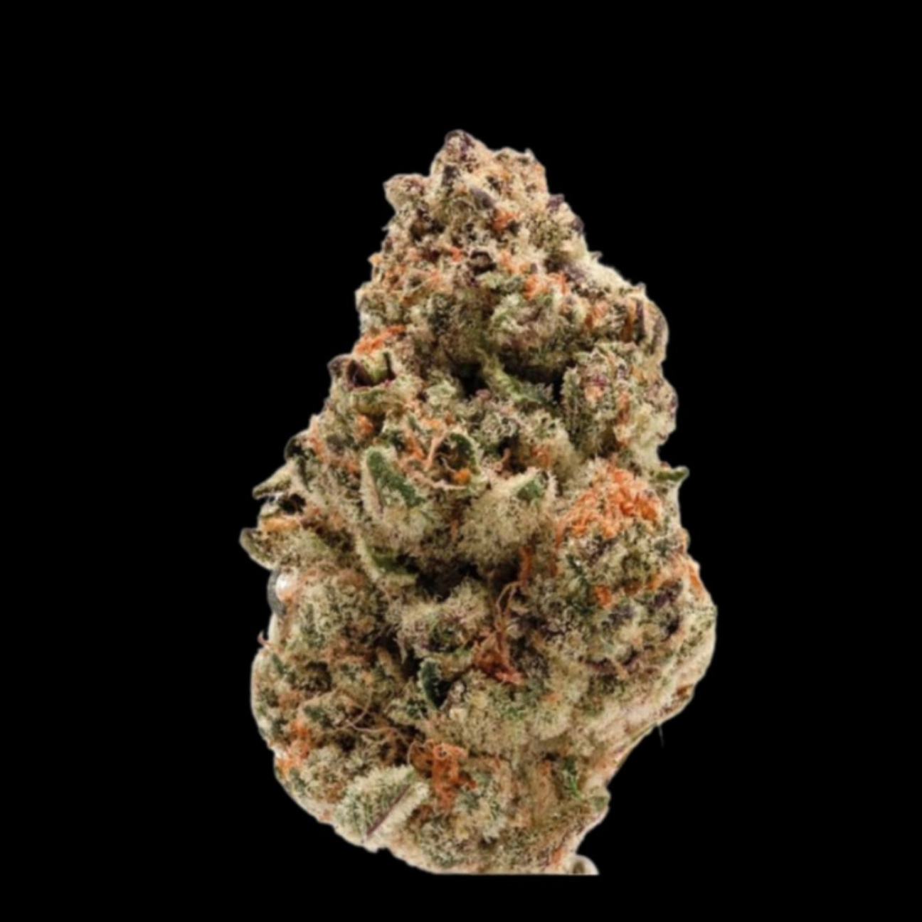 Zkittlez – Growers Choice – Feminizowane