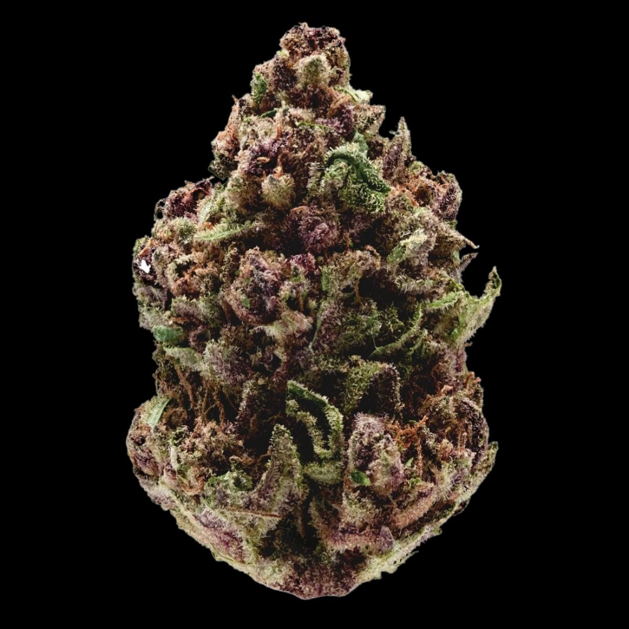 Pink Magic Fast Version – Growers Choice – Feminizowane