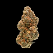 Weddingcake x Frosty Gelato – Growers Choice – Feminizowane