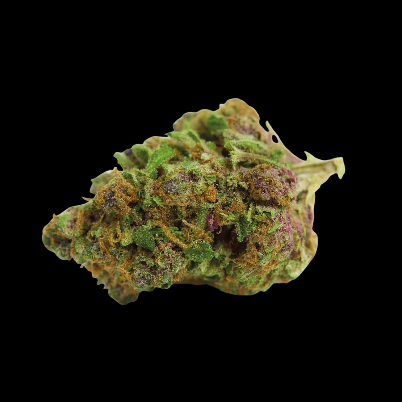 Red Banana Berry – Growers Choice – Feminizowane