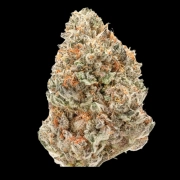 Double xl Watermelon Weddingcake Auto Autoflowering cannabis flower bud by Growers Choice