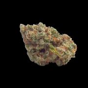 Tropicana Weddingcake Autoflowering cannabis flower bud by Growers Choice