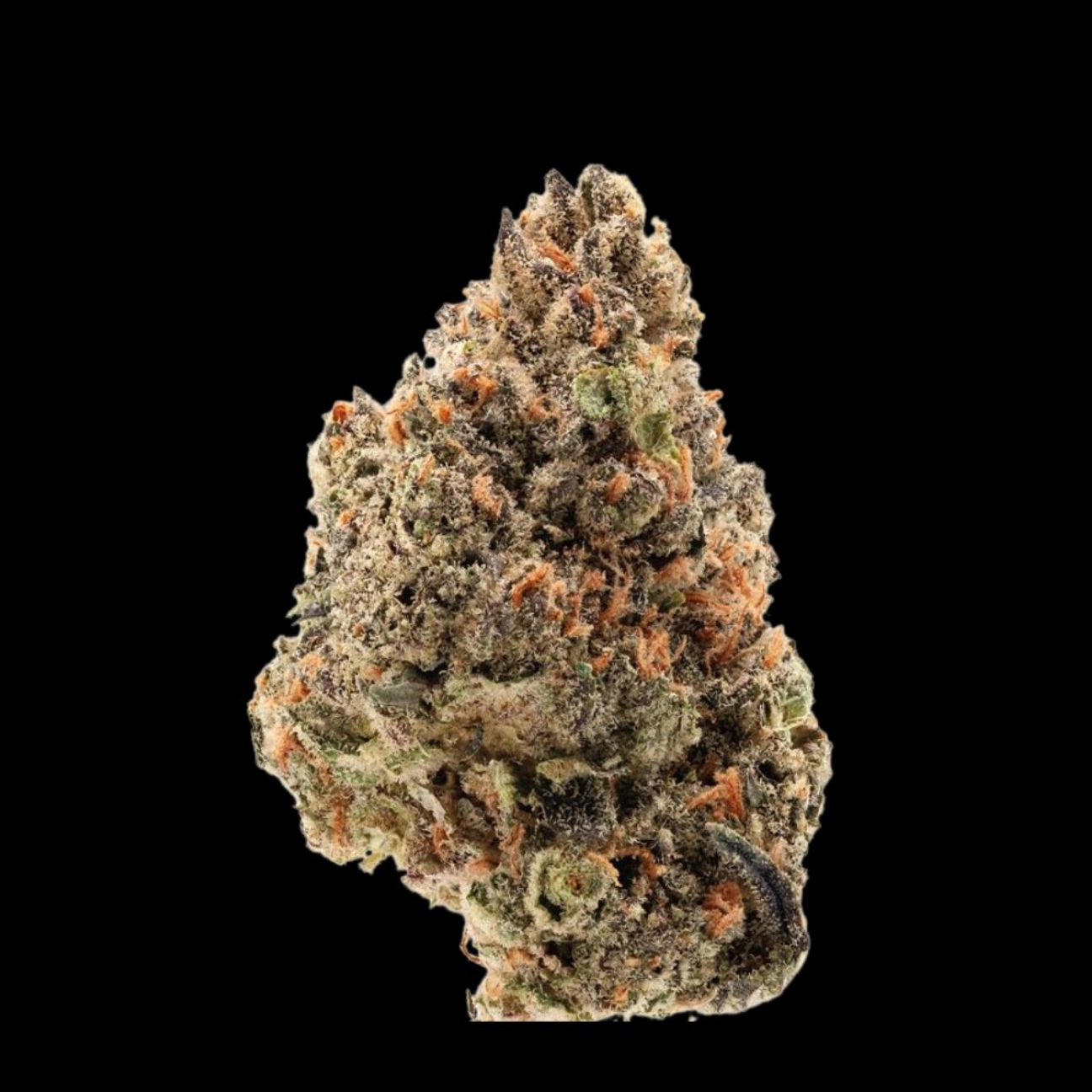 Tangie Punch – Growers Choice – Feminizowane