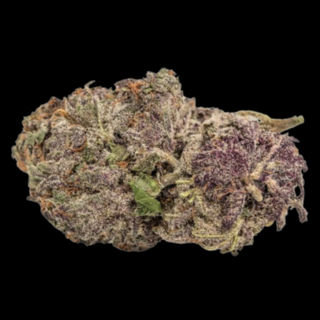 Ultra Violet GMO – Growers Choice – Feminizowane