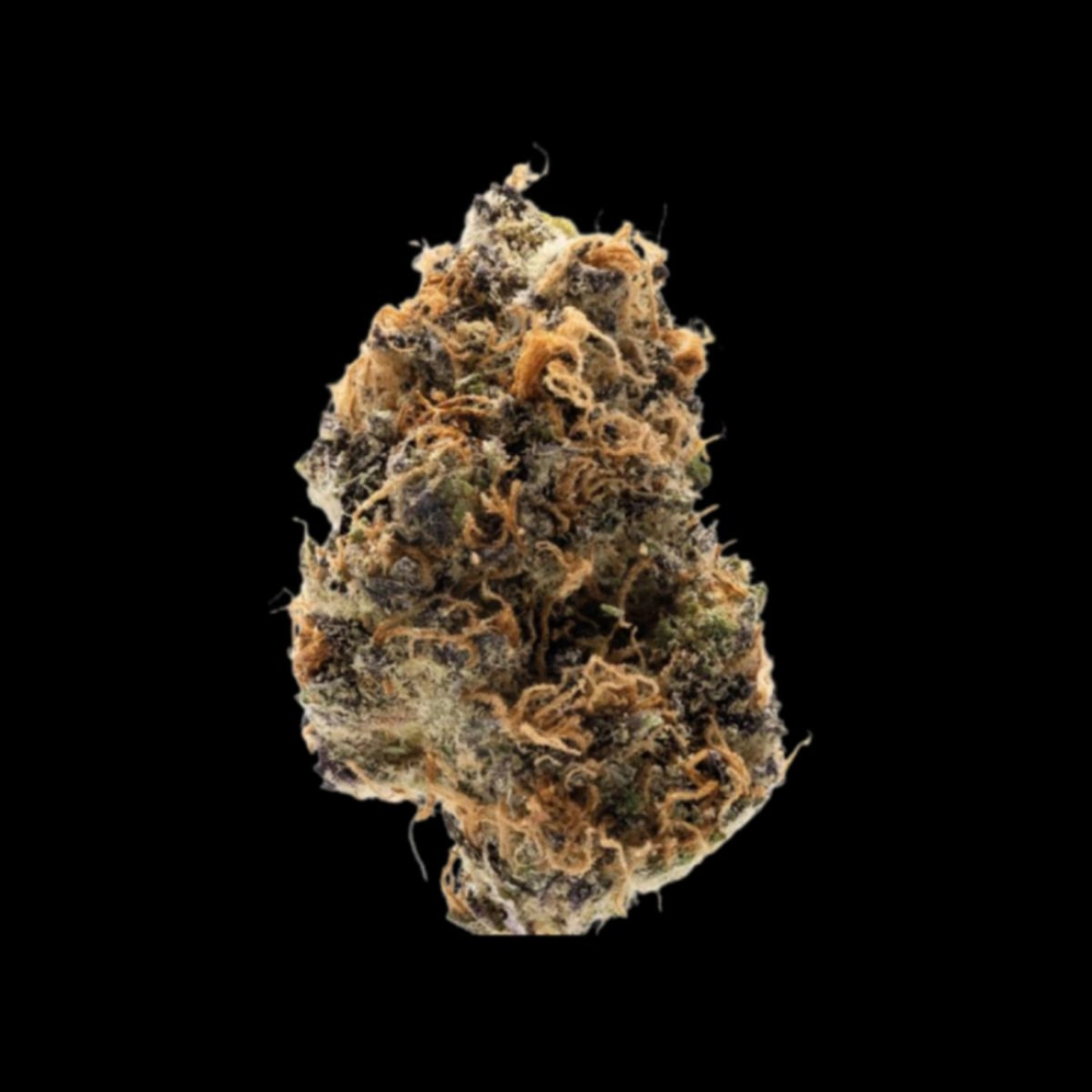Watermelon Punch – Growers Choice – Feminizowane