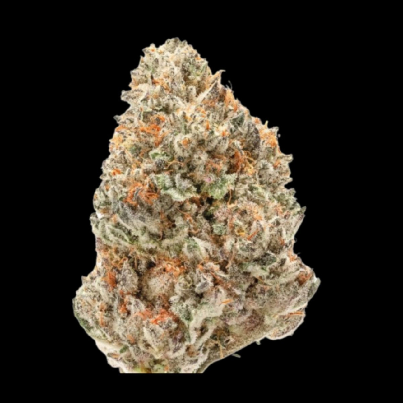 Watermelon Wedding Cake – Growers Choice – Feminizowane