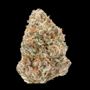 Watermelon Wedding Cake Feminized cannabis flower bud by Growers Choice