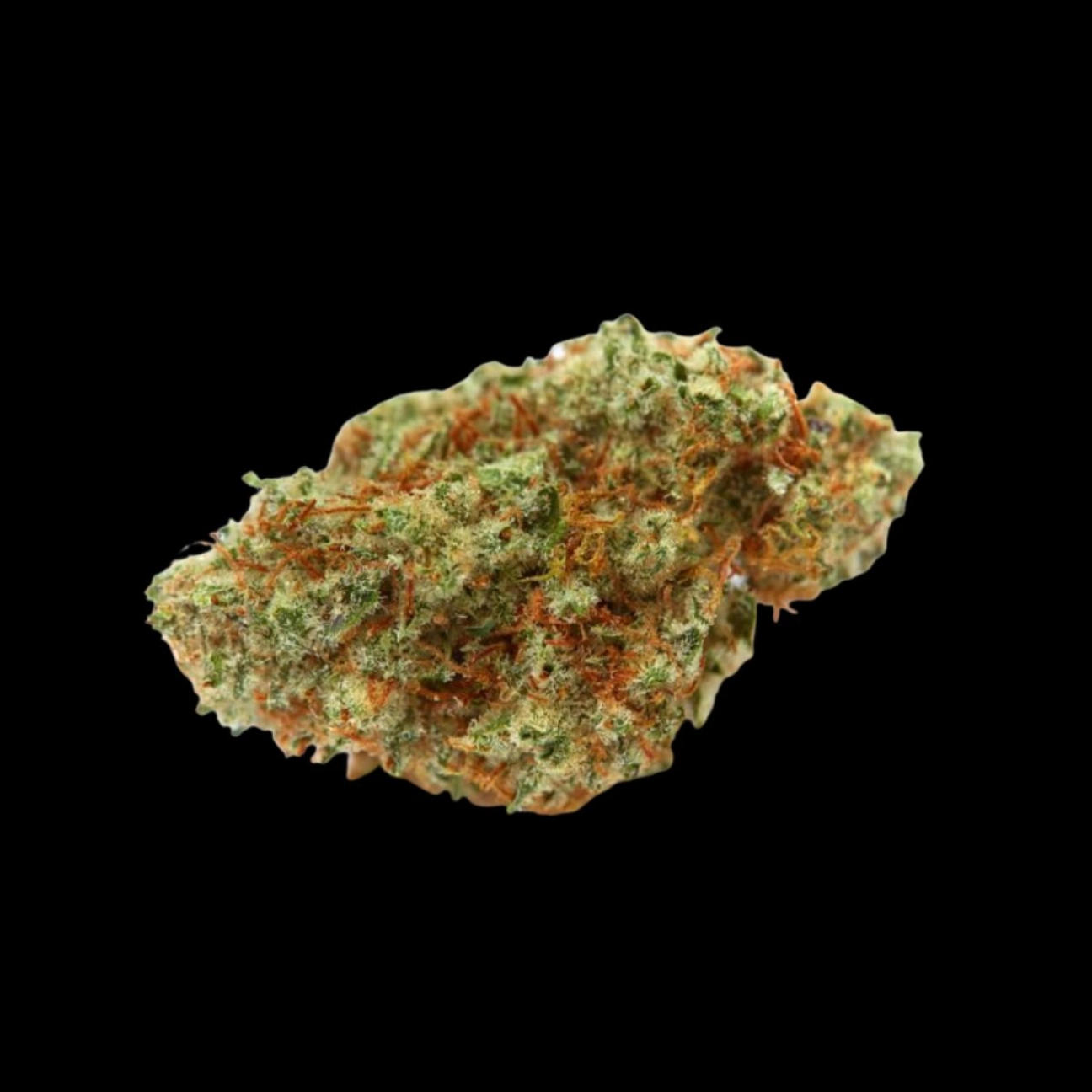White Fire OG – Growers Choice – Feminizowane