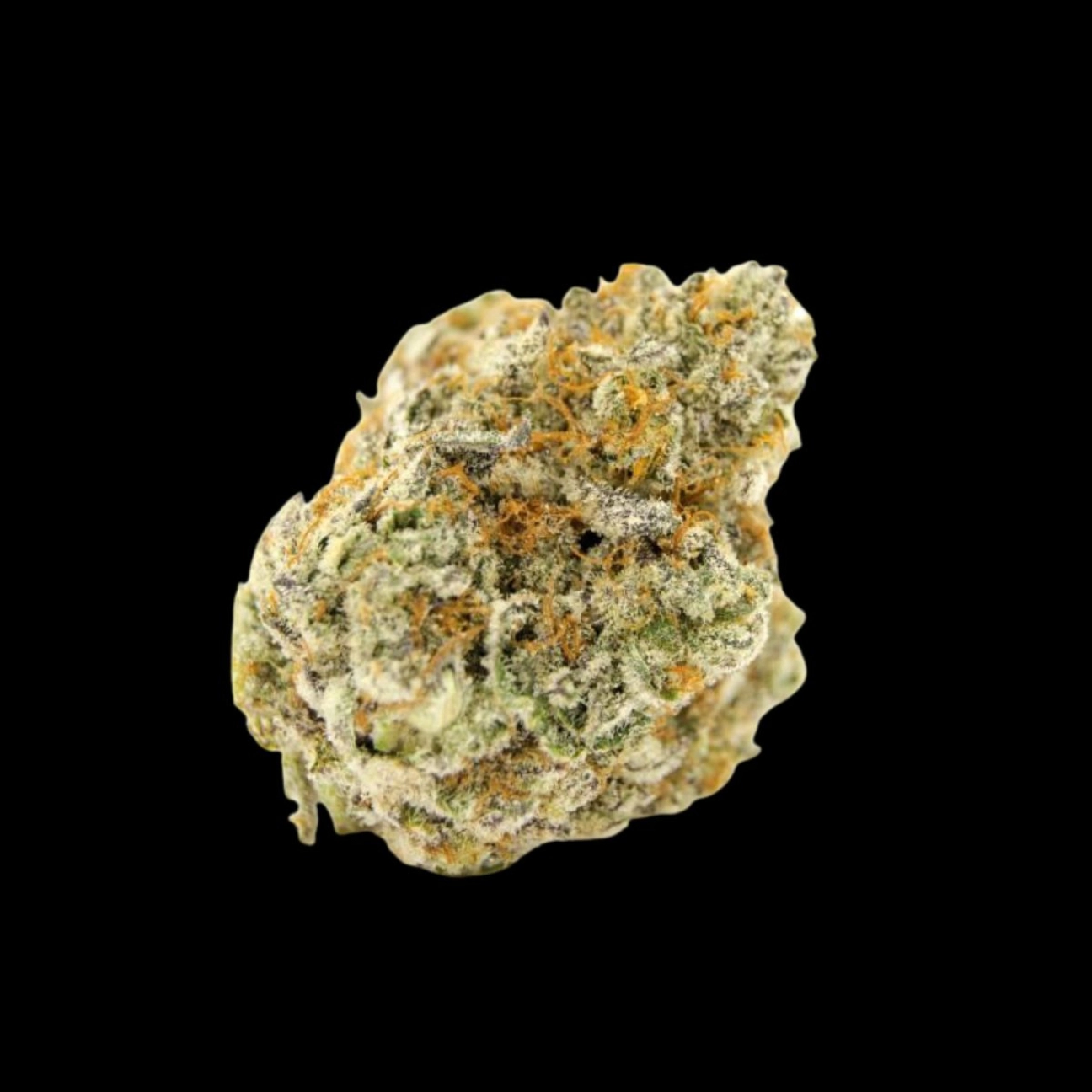 Forbidden Runtz – Growers Choice – Feminizowane