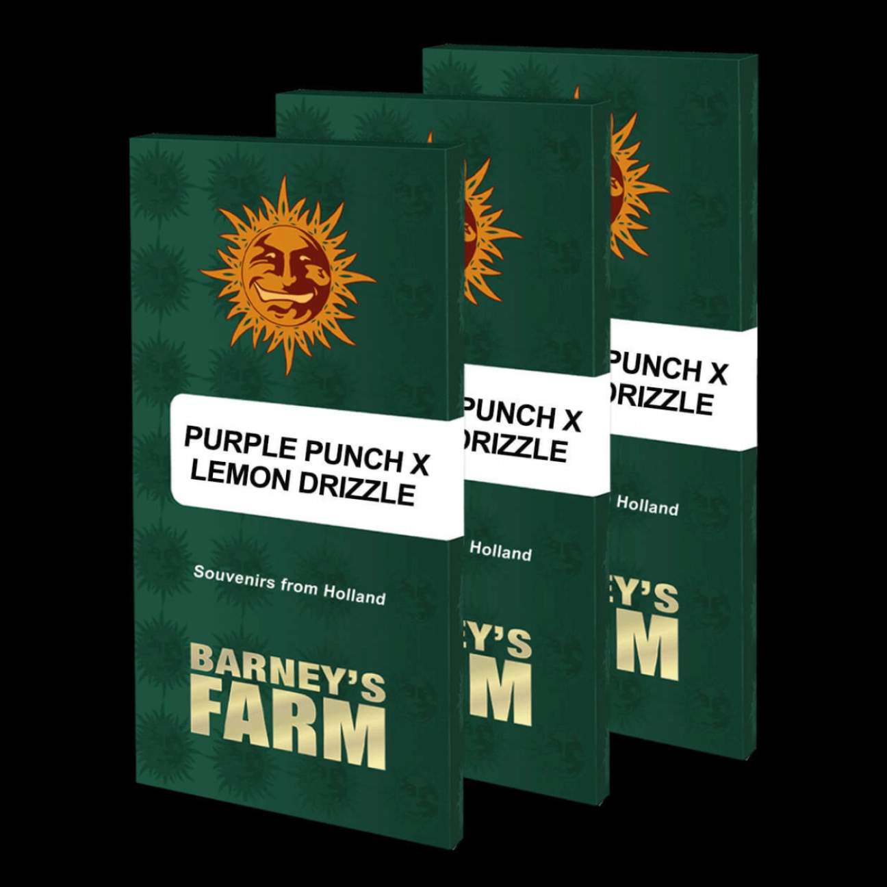 PURPLE PUNCH X LEMON DRIZZLE – Barneys Farm – Feminizowane