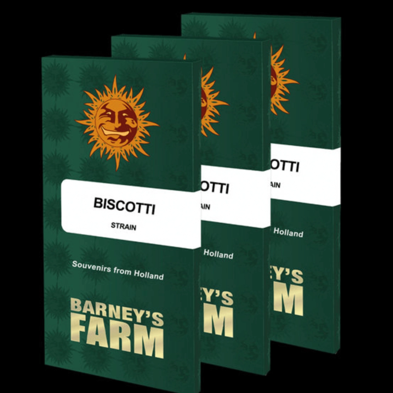 Biscotti Strain – Barneys Farm – Feminizowane