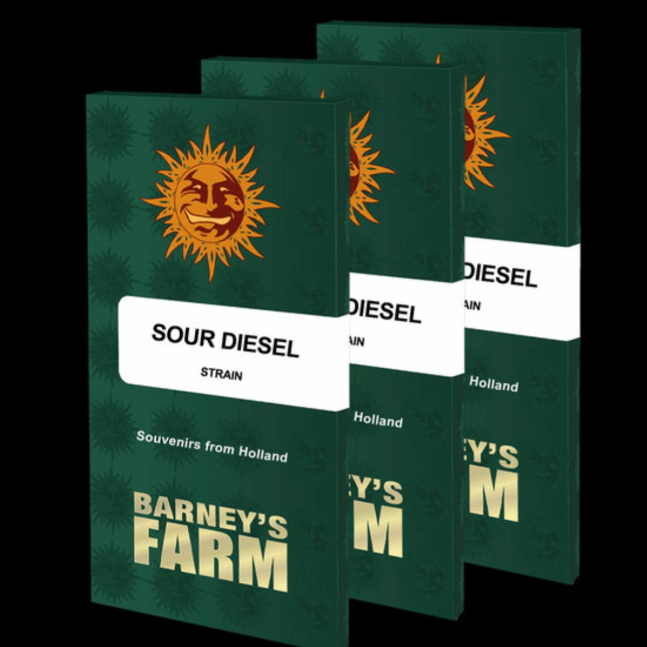 Sour Diesel – Barneys Farm – Feminizowane