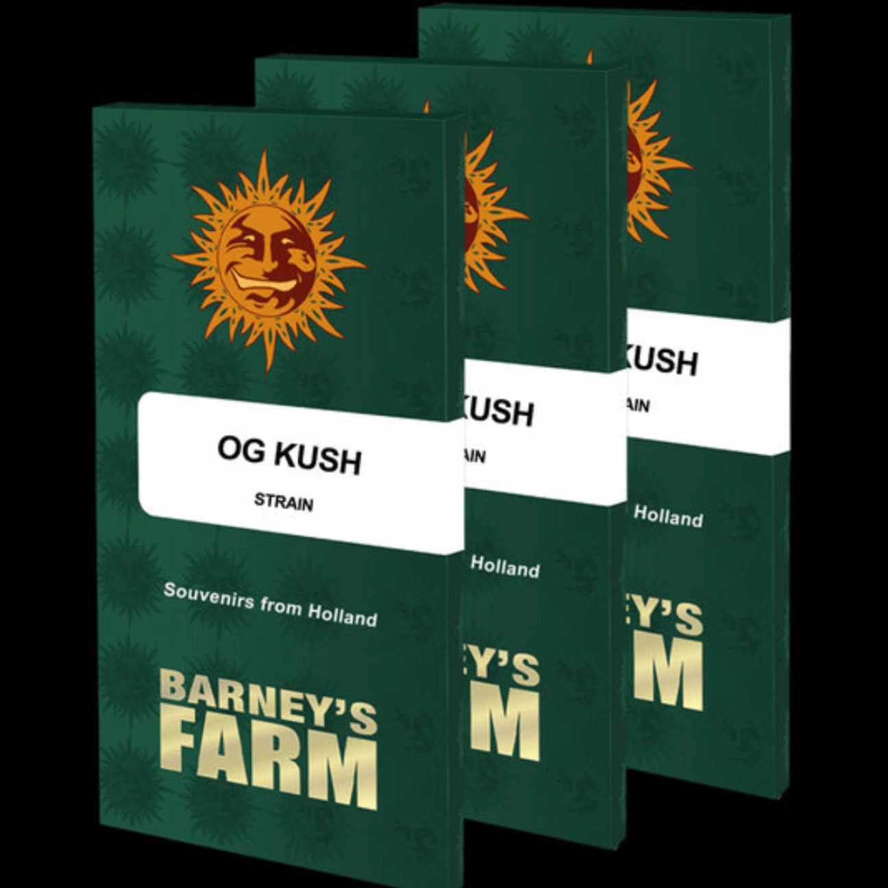 OG Kush – Barneys Farm – Feminizowane
