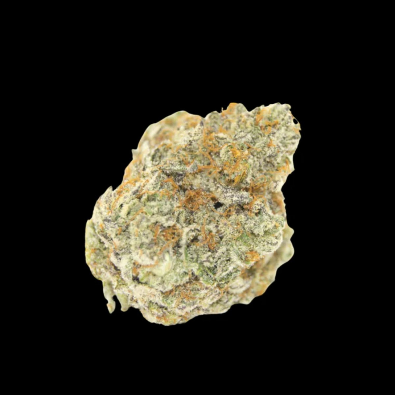Permanent White Marker – Growers Choice – Feminizowane