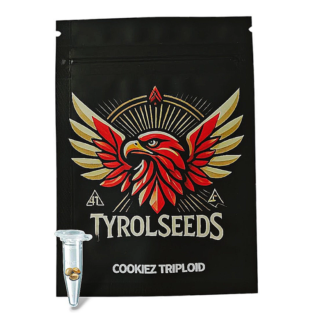 COOKIEZ – Tyrol Seeds – Triploidalne – Product view 2