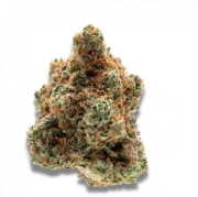 Blueberry Twist – Advanced Genetics Seeds – Feminizowane – Product view 2
