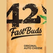 Original Auto Cheese Autoflowering cannabis flower bud by FastBuds Seeds
