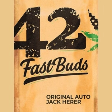Original Auto Jack Herer Feminized cannabis flower bud by FastBuds Seeds