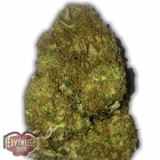 Auto Skunky Monkey Autoflowering cannabis flower bud by Heavyweight Seeds