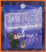 Master Kaze (Master Kush Skunk x Afghan Haze) Regular cannabis flower bud by Mr Nice Seedbank