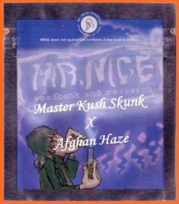 Master Kaze (Master Kush Skunk x Afghan Haze) Regular cannabis flower bud by Mr Nice Seedbank