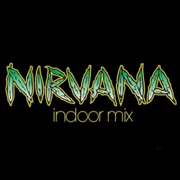 Indoor Mix Feminized cannabis flower bud by Nirvana Seeds