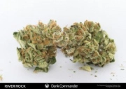 Dank Commander Regular cannabis flower bud by Rare Dankness