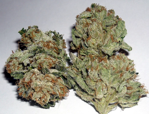 Rug Burn OG – Rare Dankness – Regularne