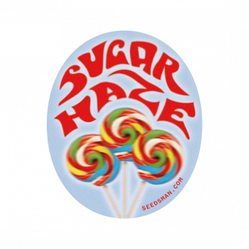 Sugar Haze – Seedsman – Regularne