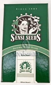 Silver Haze Regular cannabis flower bud by Sensi Seeds